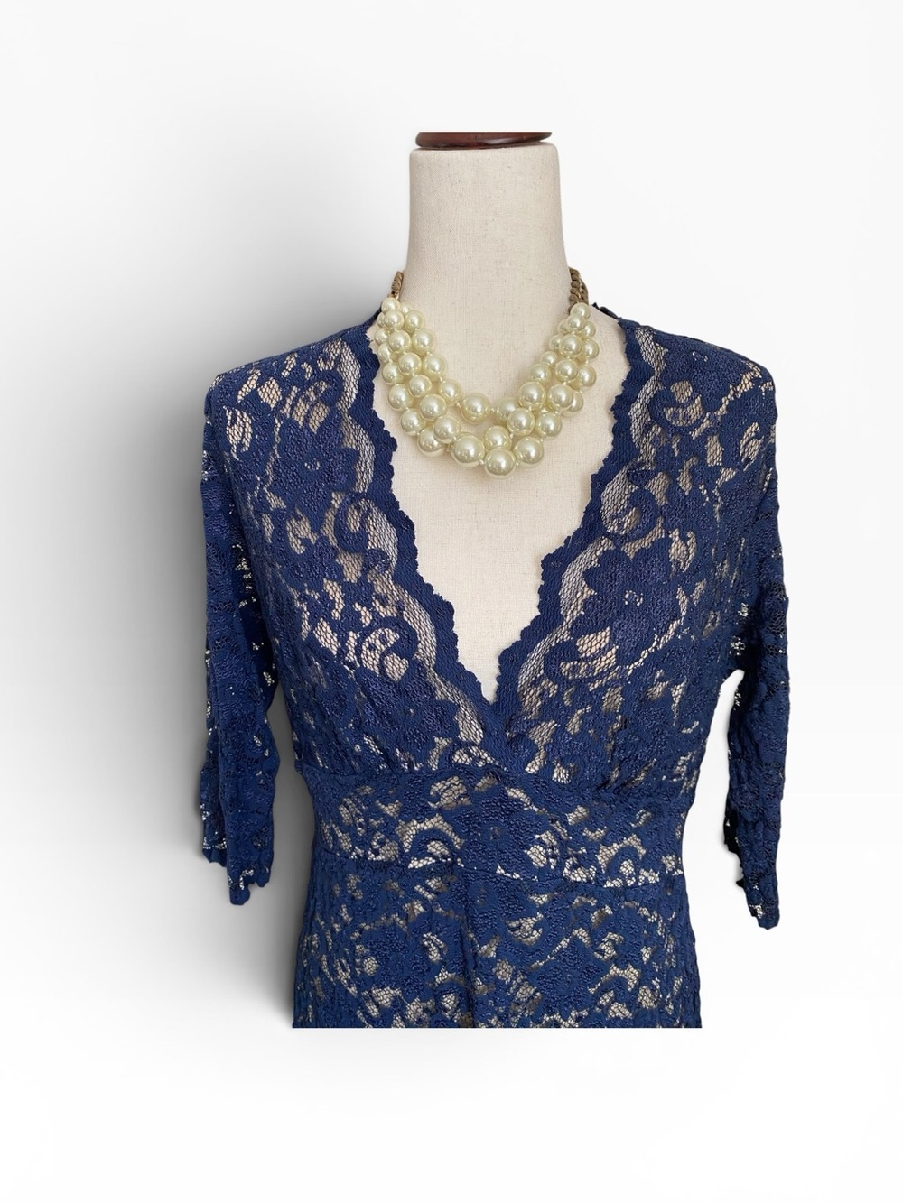 Kiyonna Navy and Tan Floral Lace Dress - Picture 2 of 6
